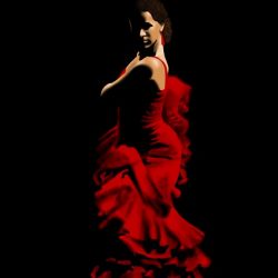 Flamenco – Nova Modalidade